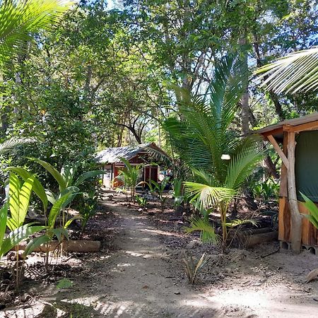 Fully Furnished Family Jungle Tent, Latino Glamping Paquera Exterior foto