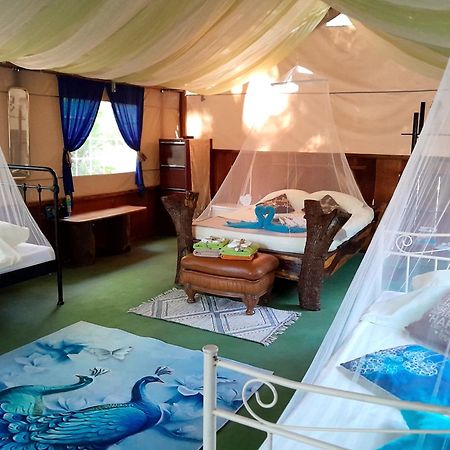Fully Furnished Family Jungle Tent, Latino Glamping Paquera Exterior foto