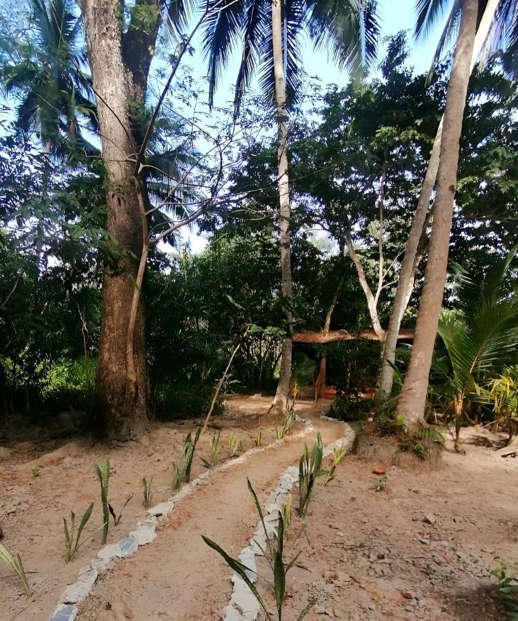 Fully Furnished Family Jungle Tent, Latino Glamping Paquera Exterior foto