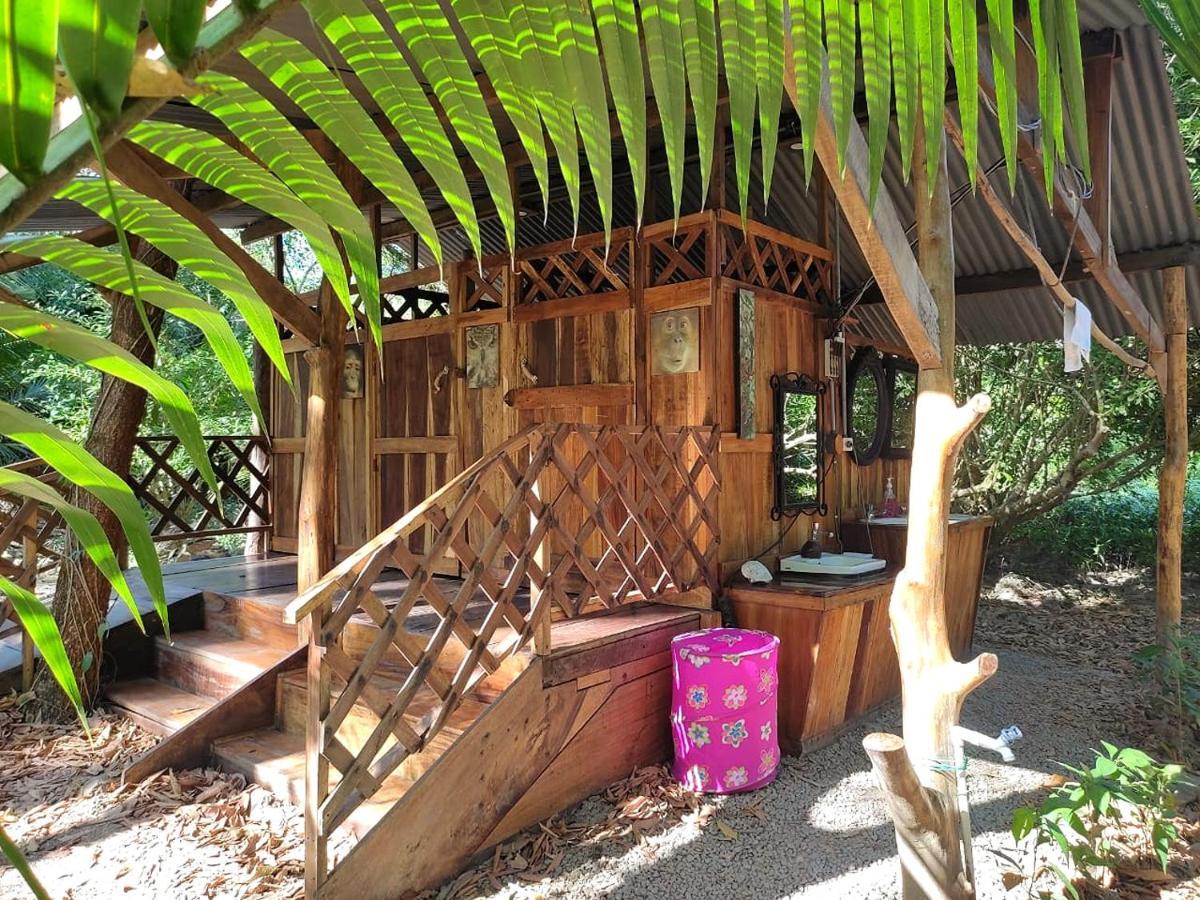 Fully Furnished Family Jungle Tent, Latino Glamping Paquera Exterior foto