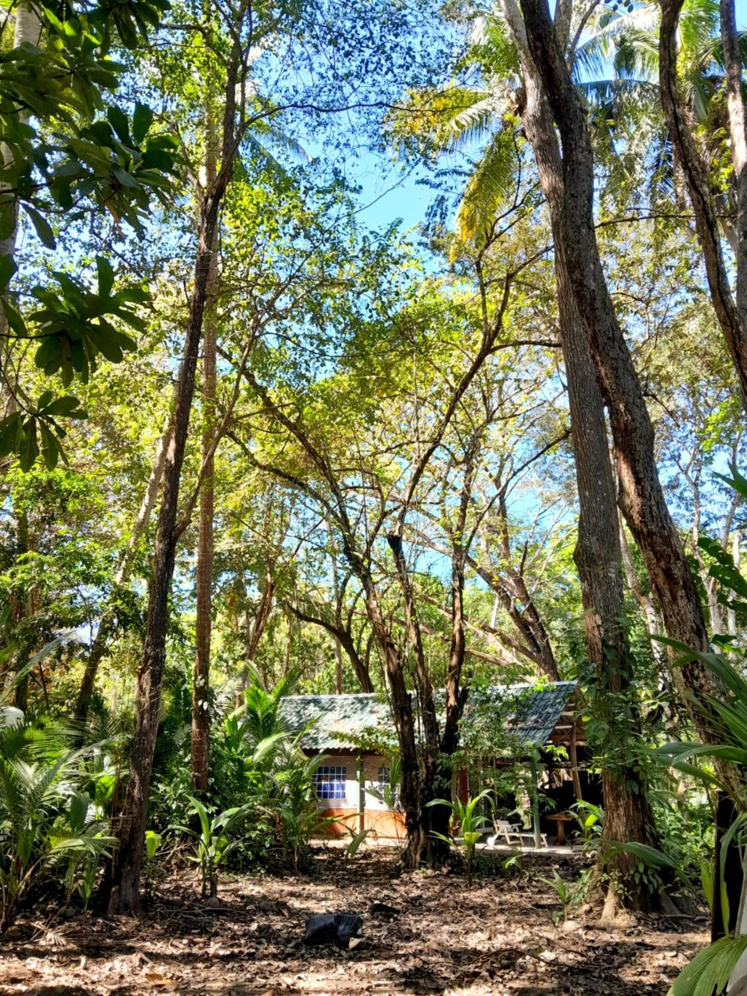 Fully Furnished Family Jungle Tent, Latino Glamping Paquera Exterior foto