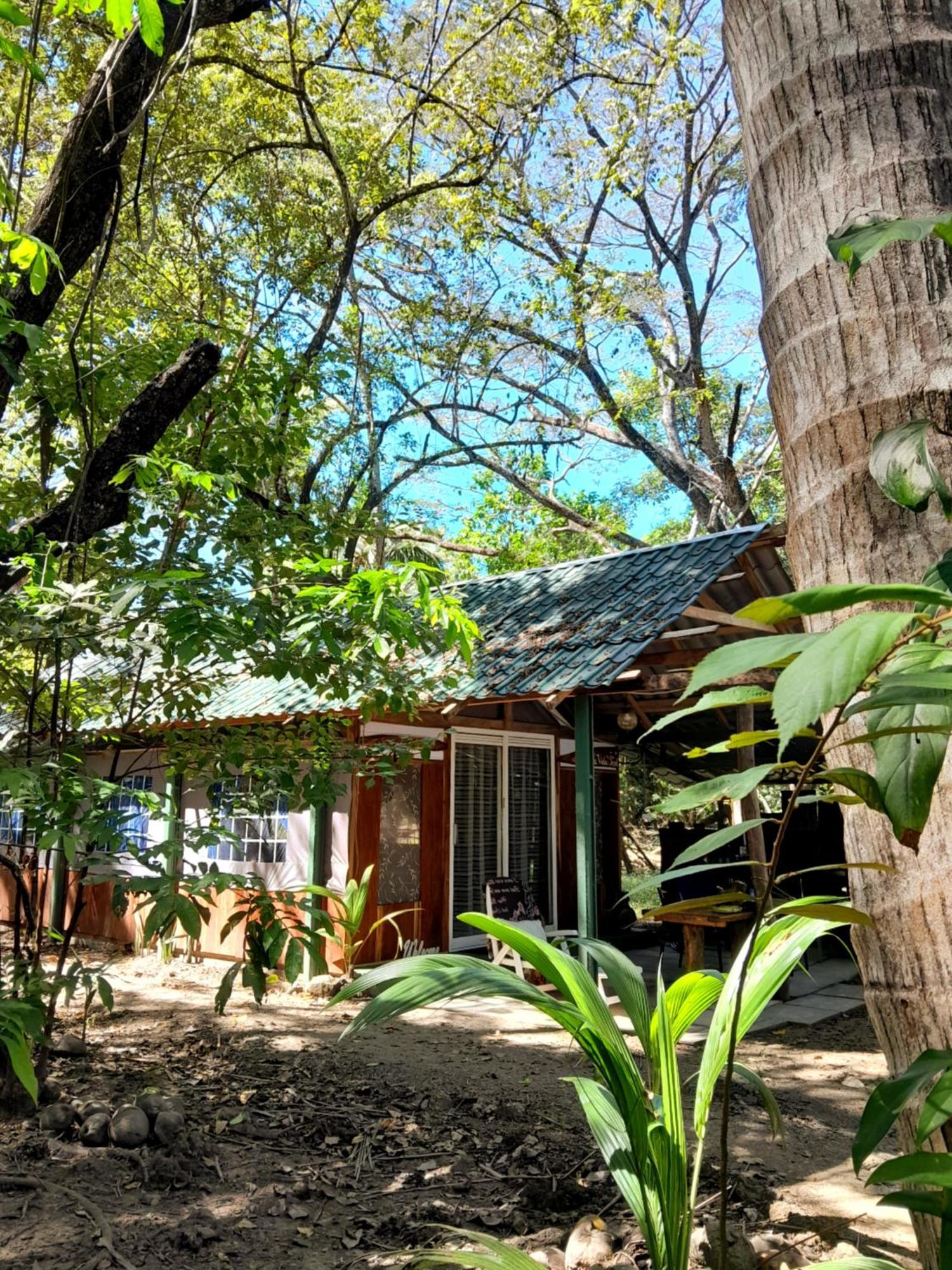 Fully Furnished Family Jungle Tent, Latino Glamping Paquera Exterior foto