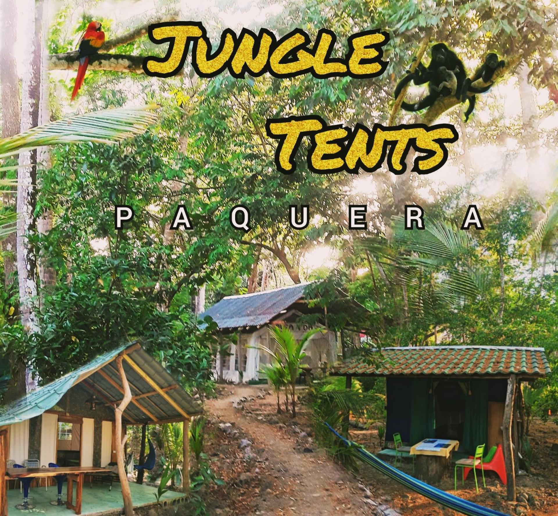Fully Furnished Family Jungle Tent, Latino Glamping Paquera Exterior foto