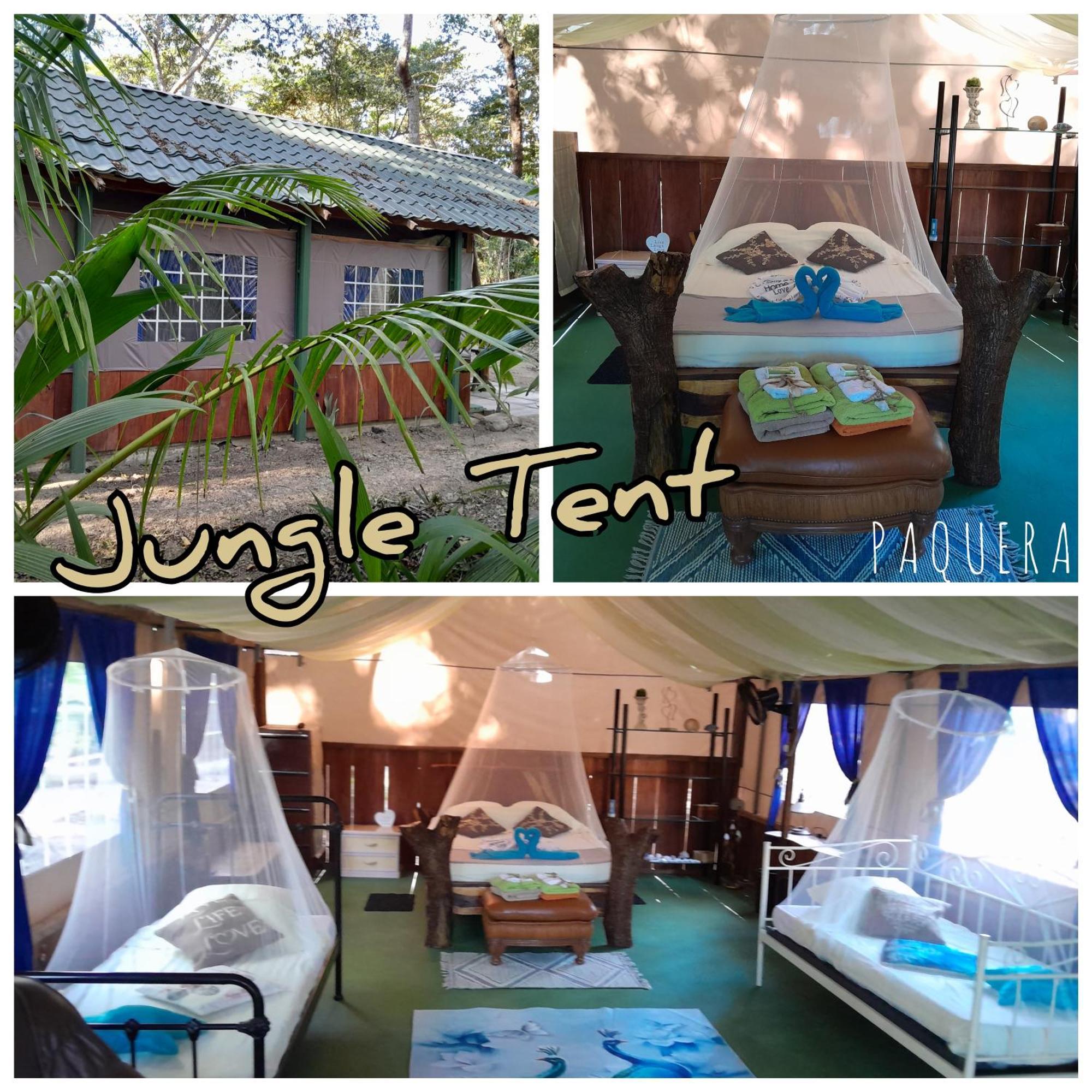 Fully Furnished Family Jungle Tent, Latino Glamping Paquera Exterior foto