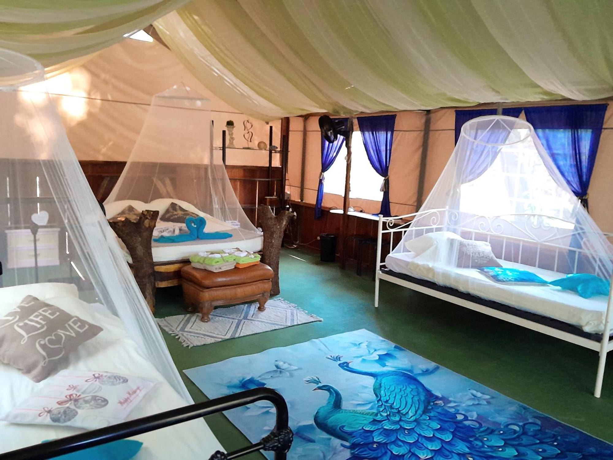 Fully Furnished Family Jungle Tent, Latino Glamping Paquera Exterior foto