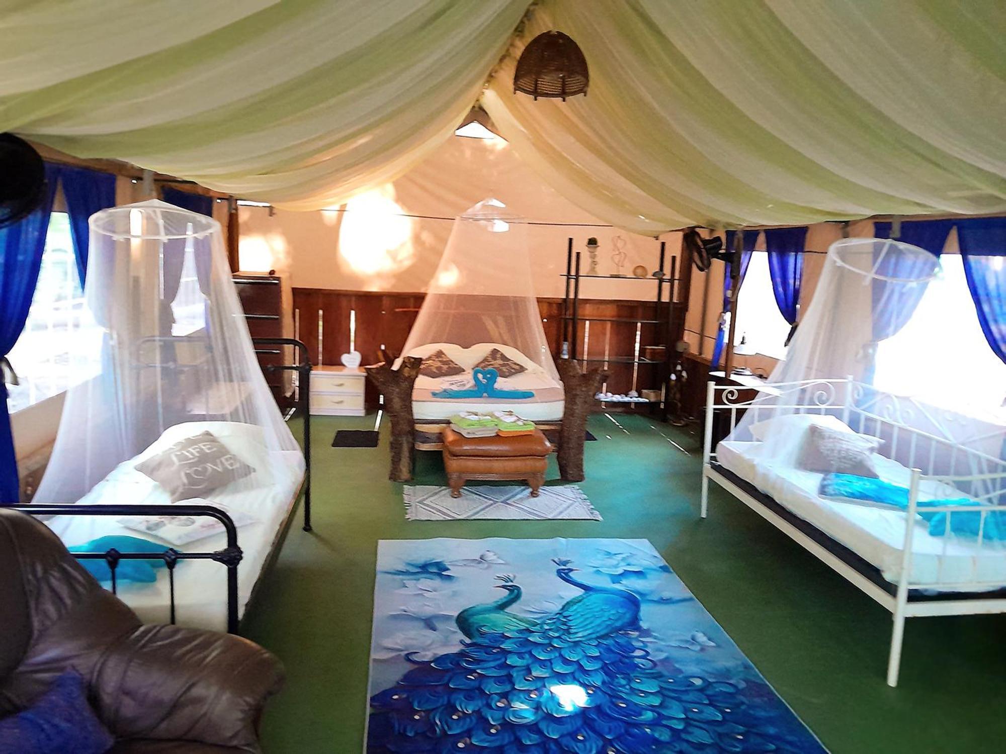 Fully Furnished Family Jungle Tent, Latino Glamping Paquera Exterior foto